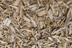 biomass boilers Eckfordmoss