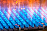 Eckfordmoss gas fired boilers